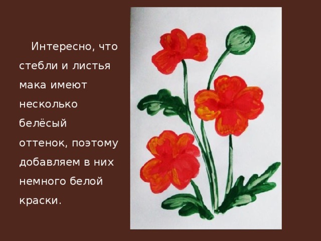 Интересно, что стебли и листья мака имеют несколько белёсый оттенок, поэтому добавляем в них немного белой краски. 