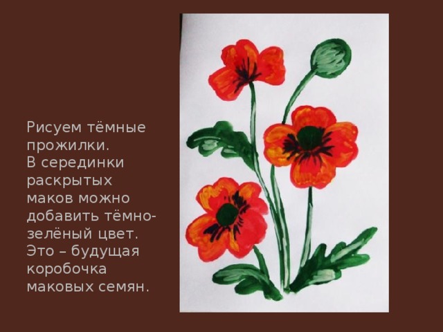 Рисуем тёмные прожилки. В серединки раскрытых маков можно добавить тёмно-зелёный цвет. Это – будущая коробочка маковых семян. 