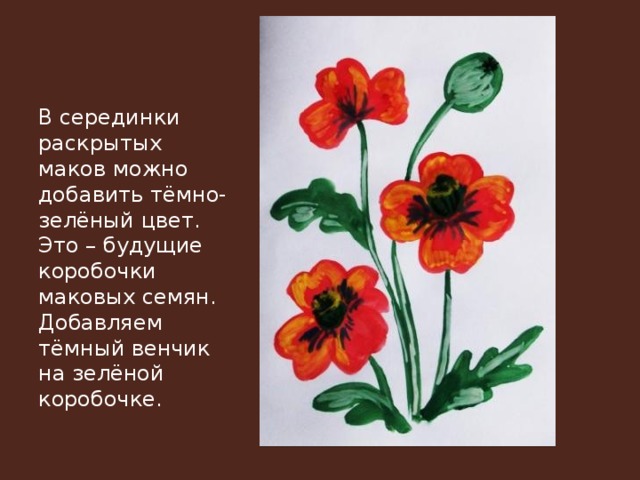 В серединки раскрытых маков можно добавить тёмно-зелёный цвет. Это – будущие коробочки маковых семян. Добавляем тёмный венчик на зелёной коробочке. 