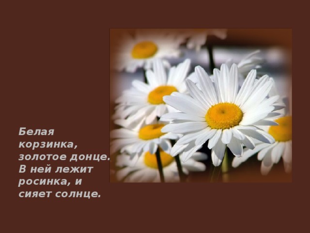 Белая корзинка, золотое донце. В ней лежит росинка, и сияет солнце. 