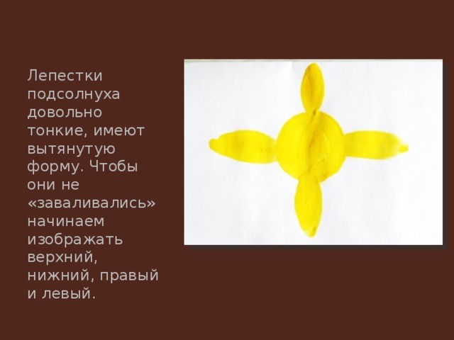 Лепестки подсолнуха довольно тонкие, имеют вытянутую форму. Чтобы они не «заваливались» начинаем изображать верхний, нижний, правый и левый. 