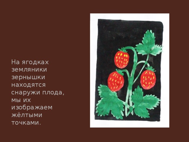 На ягодках земляники зернышки находятся снаружи плода, мы их изображаем жёлтыми точками. 