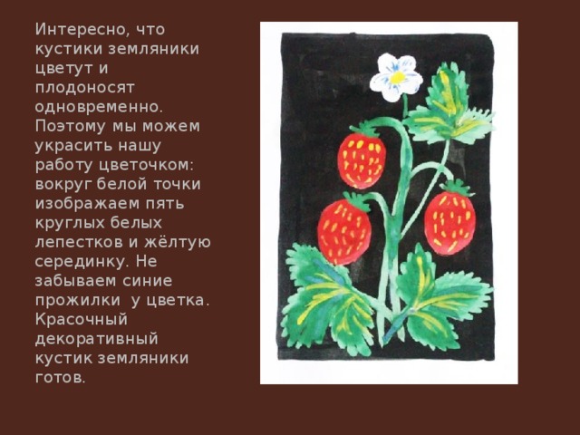 Интересно, что кустики земляники цветут и плодоносят одновременно. Поэтому мы можем украсить нашу работу цветочком: вокруг белой точки изображаем пять круглых белых лепестков и жёлтую серединку. Не забываем синие прожилки у цветка. Красочный декоративный кустик земляники готов. 