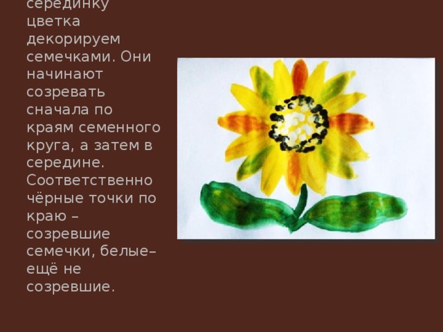 Подсохшую серединку цветка декорируем семечками. Они начинают созревать сначала по краям семенного круга, а затем в середине. Соответственно чёрные точки по краю – созревшие семечки, белые– ещё не созревшие. 