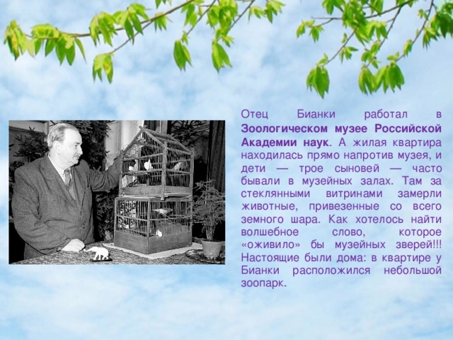  Отец Бианки работал в Зоологическом музее Российской Академии наук . А жилая квартира находилась прямо напротив музея, и дети — трое сыновей — часто бывали в музейных залах. Там за стеклянными витринами замерли животные, привезенные со всего земного шара. Как хотелось найти волшебное слово, которое «оживило» бы музейных зверей!!! Настоящие были дома: в квартире у Бианки расположился небольшой зоопарк. 