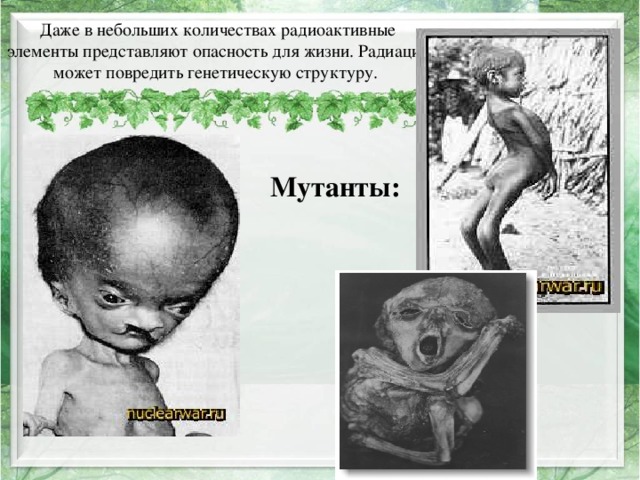 Даже в небольших количествах радиоактивные элементы представляют опасность для жизни. Радиация может повредить генетическую структуру. Мутанты:  