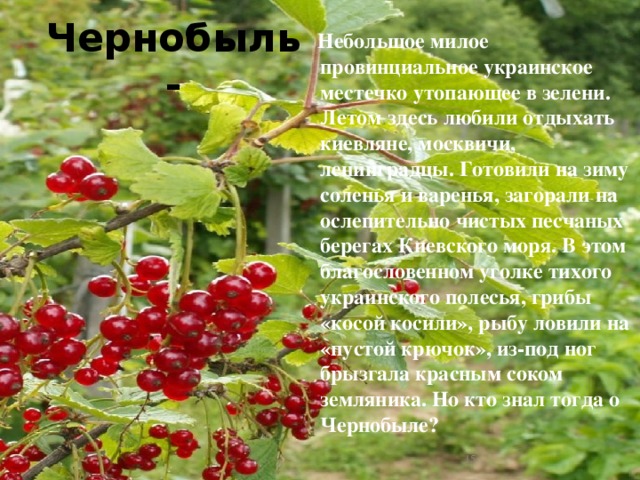 Чернобыль-  Небольшое милое провинциальное украинское местечко утопающее в зелени. Летом здесь любили отдыхать киевляне, москвичи, ленинградцы. Готовили на зиму соленья и варенья, загорали на ослепительно чистых песчаных берегах Киевского моря. В этом благословенном уголке тихого украинского полесья, грибы «косой косили», рыбу ловили на «пустой крючок», из-под ног брызгала красным соком земляника. Но кто знал тогда о Чернобыле?  