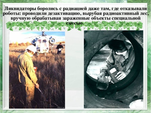 Ликвидаторы боролись с радиацией даже там, где отказывали роботы: проводили дезактивацию, вырубая радиоактивный лес, вручную обрабатывая зараженные объекты специальной смесью. 
