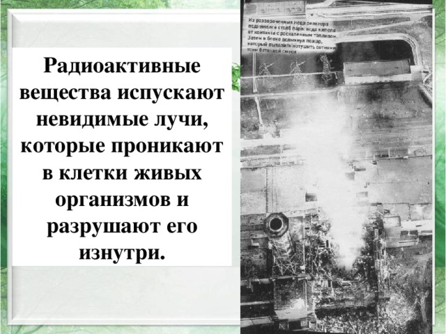 Радиоактивные вещества испускают невидимые лучи, которые проникают в клетки живых организмов и разрушают его изнутри. 