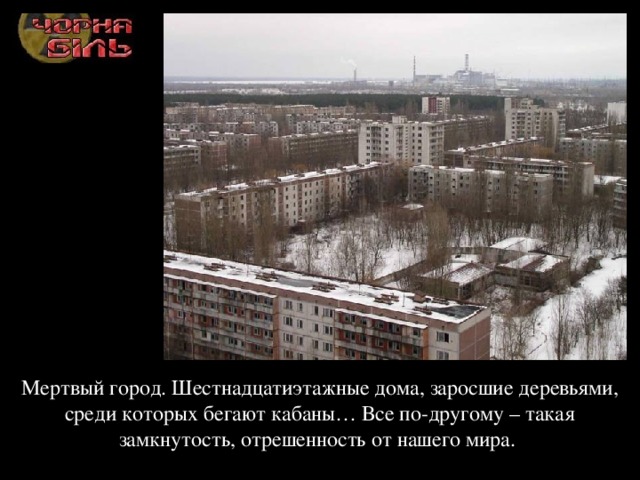 Мертвый город. Шестнадцатиэтажные дома, заросшие деревьями, среди которых бегают кабаны… Все по-другому – такая замкнутость, отрешенность от нашего мира. 
