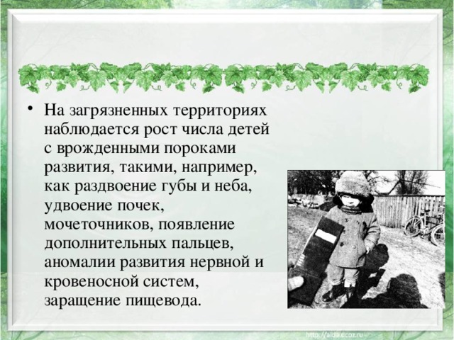 На загрязненных территориях наблюдается рост числа детей с врожденными пороками развития, такими, например, как раздвоение губы и неба, удвоение почек, мочеточников, появление дополнительных пальцев, аномалии развития нервной и кровеносной систем, заращение пищевода. 