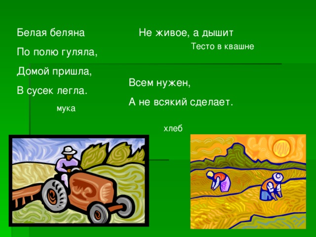 Белая беляна По полю гуляла, Домой пришла, В сусек легла. Не живое, а дышит Тесто в квашне Всем нужен, А не всякий сделает. мука хлеб