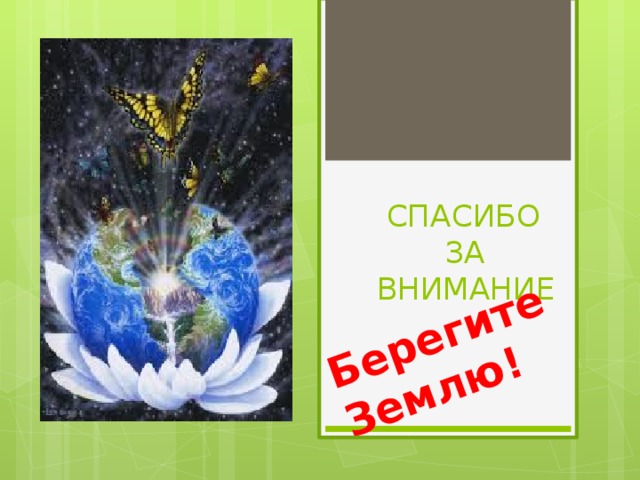 Берегите Землю!  СПАСИБО  ЗА  ВНИМАНИЕ 