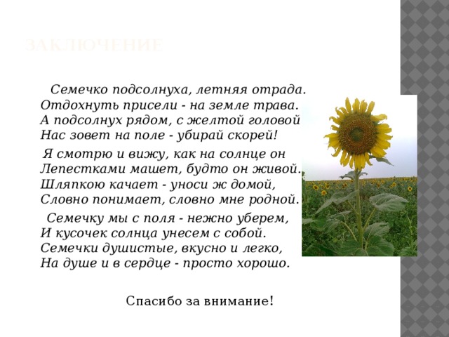  Заключение    Семечко подсолнуха, летняя отрада.  Отдохнуть присели - на земле трава.  А подсолнух рядом, с желтой головой  Нас зовет на поле - убирай скорей!  Я смотрю и вижу, как на солнце он  Лепестками машет, будто он живой.  Шляпкою качает - уноси ж домой,  Словно понимает, словно мне родной.  Семечку мы с поля - нежно уберем,  И кусочек солнца унесем с собой.  Семечки душистые, вкусно и легко,  На душе и в сердце - просто хорошо. Спасибо за внимание! 