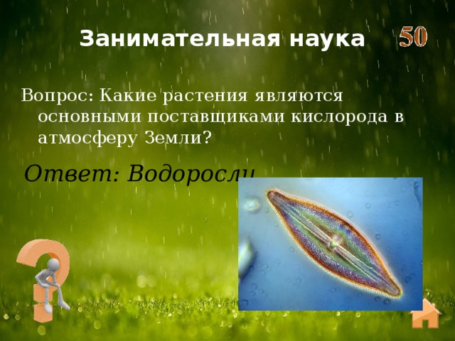 Занимательная наука Вопрос: Какие растения являются основными поставщиками кислорода в атмосферу Земли? Ответ: Водоросли 