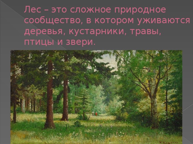 Лес – это сложное природное сообщество, в котором уживаются деревья, кустарники, травы, птицы и звери.   