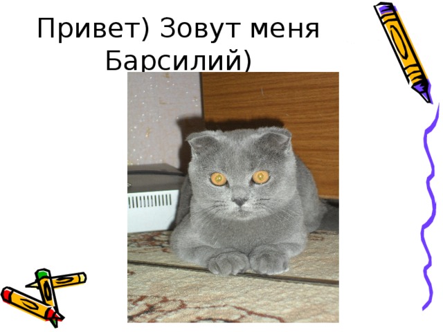 Привет) Зовут меня Барсилий) 