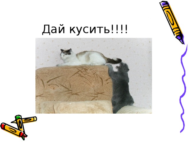 Дай кусить!!!! 