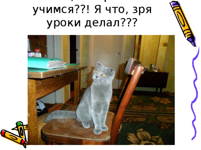 Как, завтра не учимся??! Я что, зря уроки делал??? 