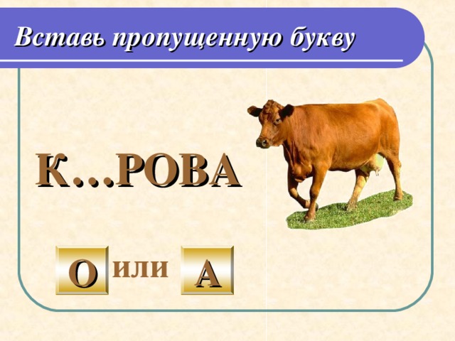 П е тух П е туха назвали 