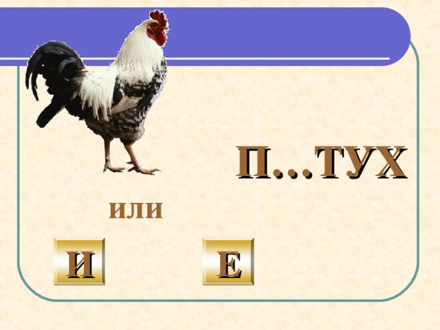 Л и са  Л и са – л и сица, посмотри,  Очень любит букву И . 