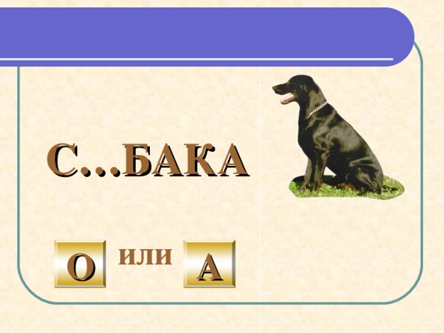  3. Постановка орфографической задачи .   Проговаривание слова орфоэпически (так, как говорим, произносим слово)  Определение ударного и безударного слога . П _ Т У Х 