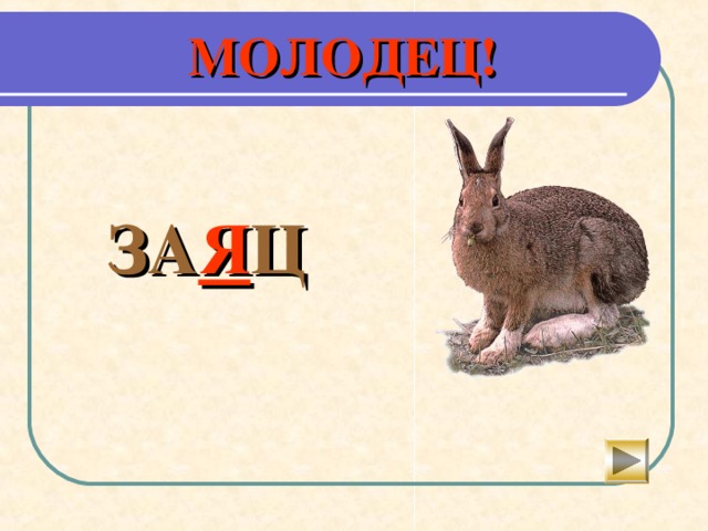   С…БАКА   или О А 