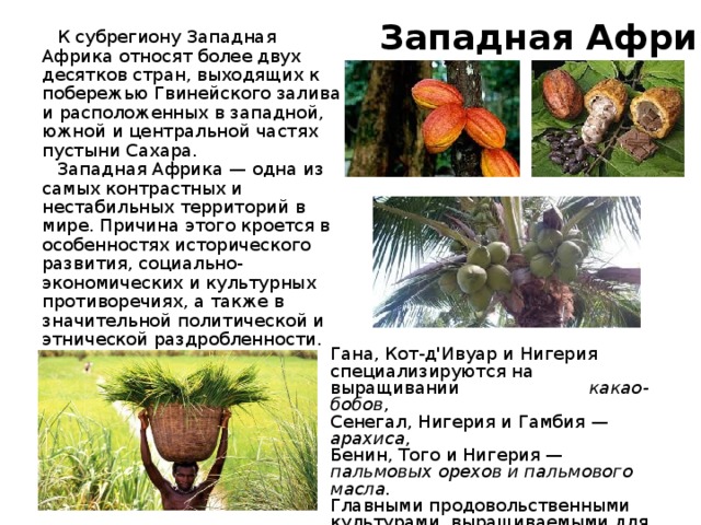 Западная Африка  К субрегиону Западная Африка относят более двух десятков стран, выходящих к побережью Гвинейского залива и расположенных в западной, южной и центральной частях пустыни Сахара.  Западная Африка — одна из самых контрастных и нестабильных территорий в мире. Причина этого кроется в особенностях исторического развития, социально-экономических и культурных противоречиях, а также в значительной политической и этнической раздробленности.    В экономике стран субрегиона ведущая роль принадлежит сельскому плантационному хозяйству и горнодобывающей промышленности Гана, Кот-д'Ивуар и Нигерия специализируются на выращивании    какао-бобов , Сенегал, Нигерия и Гамбия — арахиса , Бенин, Того и Нигерия — пальмовых орехов и пальмового масла. Главными продовольственными культурами, выращиваемыми для местного потребления, являются рис, сорго и просо, в меньшей степени кукуруза. 