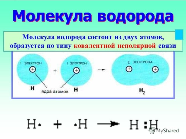 Строение молекулы 