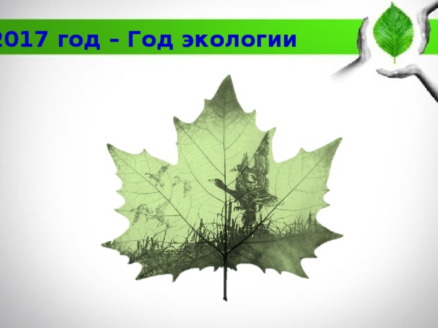 2017 год – Год экологии 
