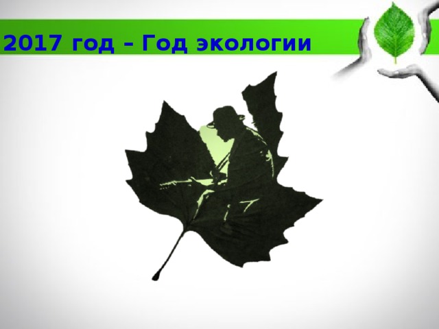 2017 год – Год экологии 