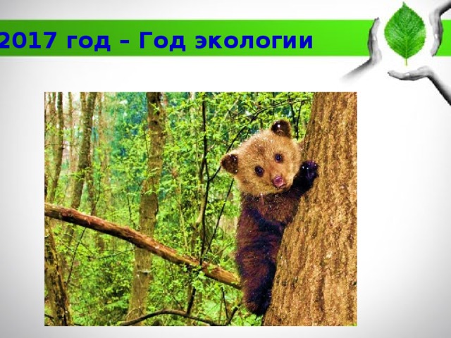 2017 год – Год экологии 