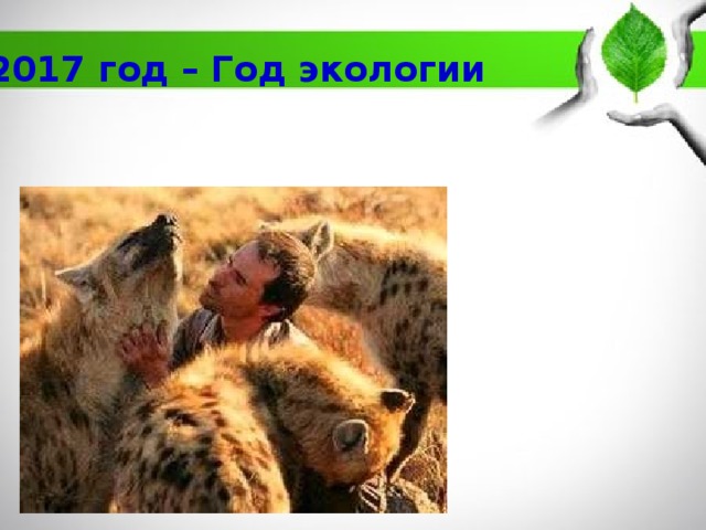 2017 год – Год экологии 
