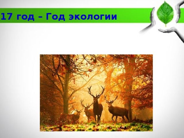 2017 год – Год экологии 