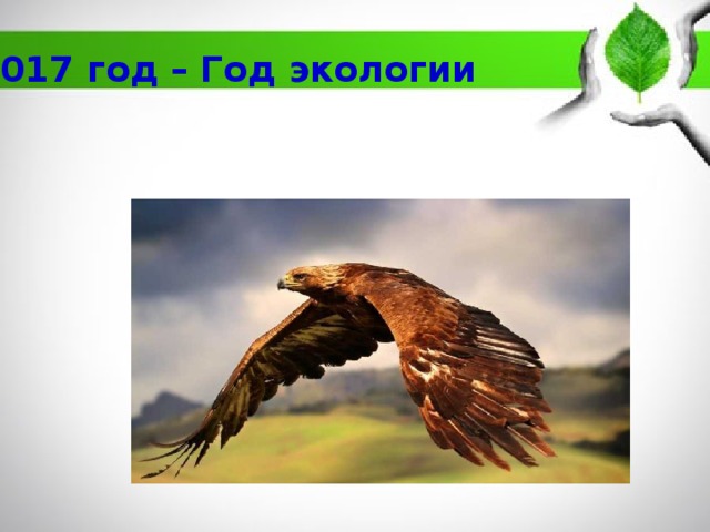 2017 год – Год экологии 