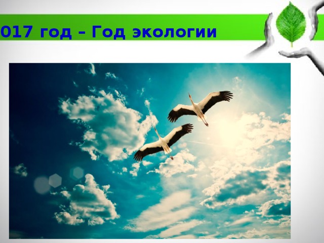 2017 год – Год экологии 