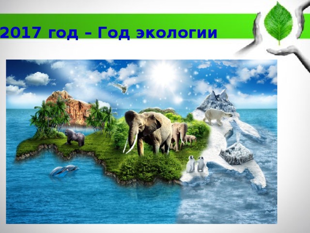 2017 год – Год экологии 