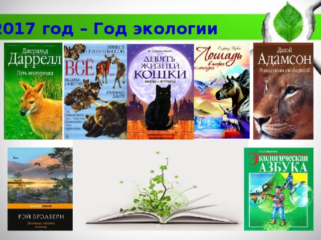 2017 год – Год экологии 