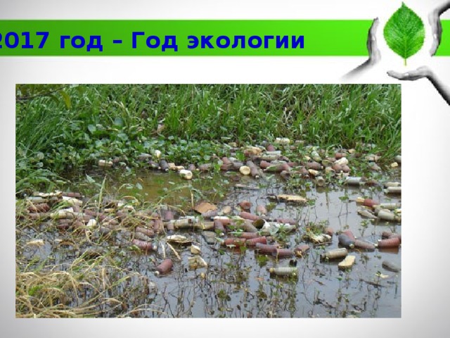2017 год – Год экологии 