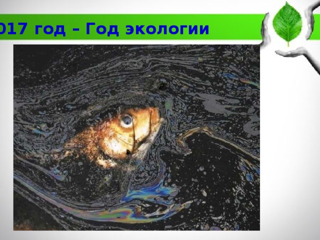 2017 год – Год экологии 