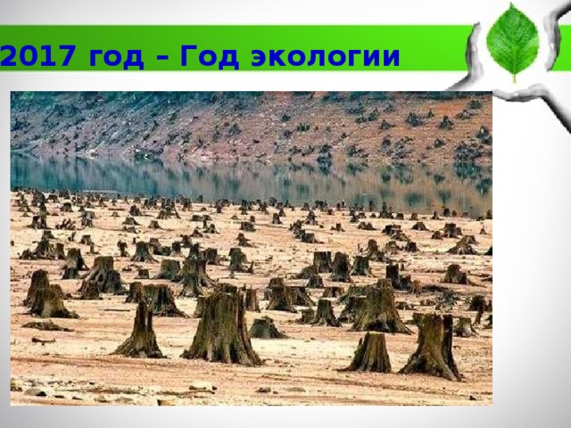 2017 год – Год экологии 
