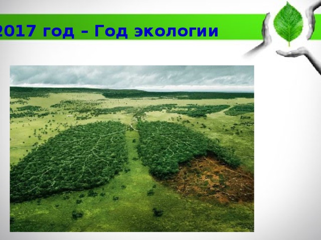 2017 год – Год экологии 