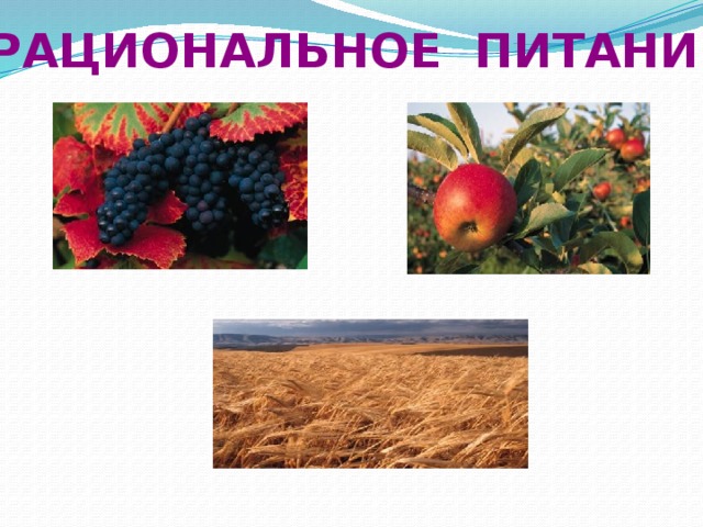 Рациональное питание 