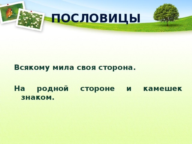 ПОСЛОВИЦЫ  Всякому мила своя сторона.  На родной стороне и камешек знаком.   