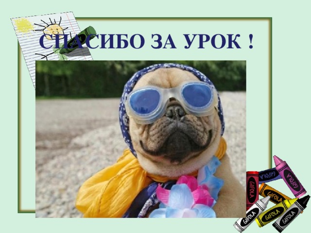 СПАСИБО ЗА УРОК ! 