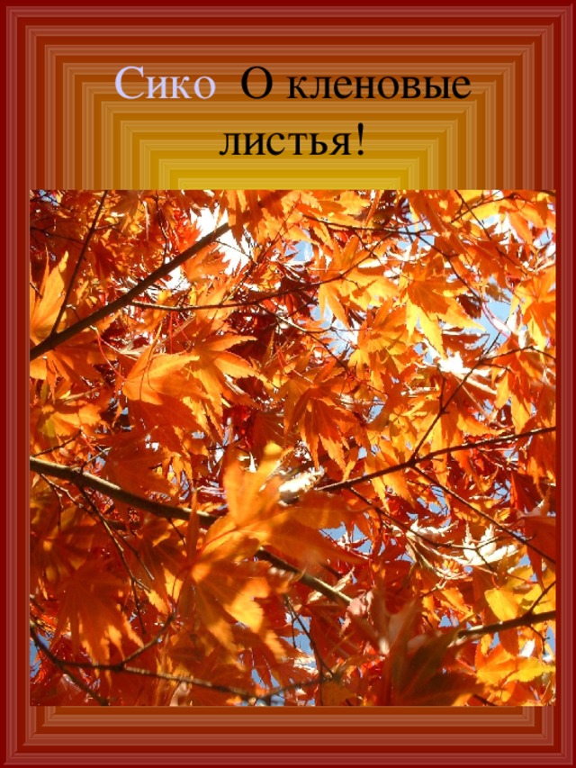 Сико О кленовые листья! 