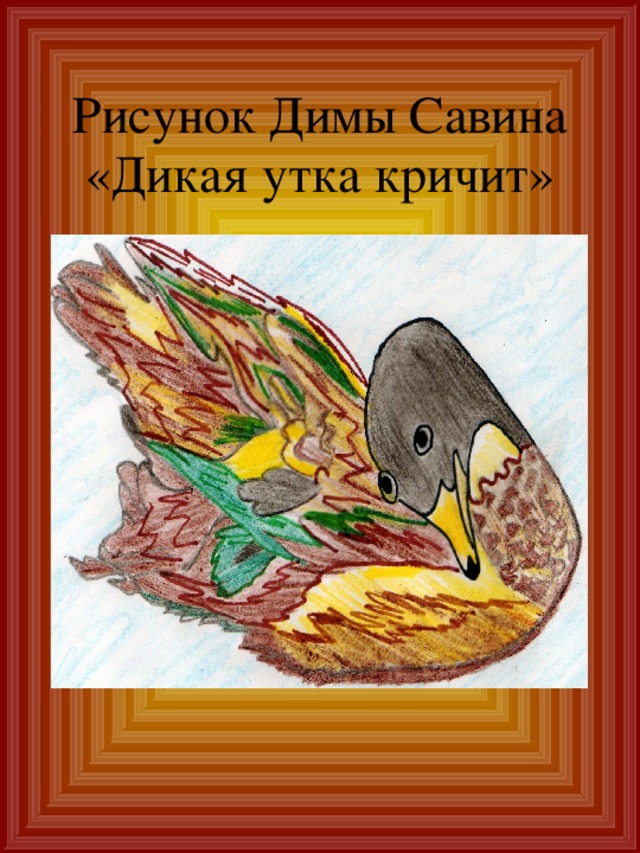 Рисунок Димы Савина  «Дикая утка кричит» 