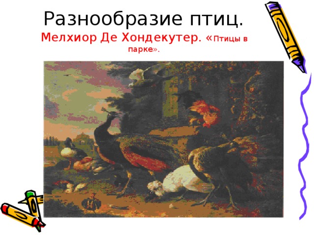 Разнообразие птиц.  Мелхиор Де Хондекутер. « Птицы в парке». 