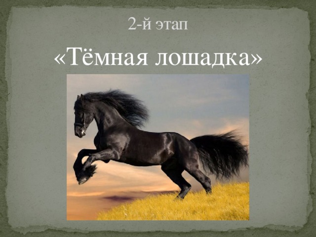 2-й этап «Тёмная лошадка» 