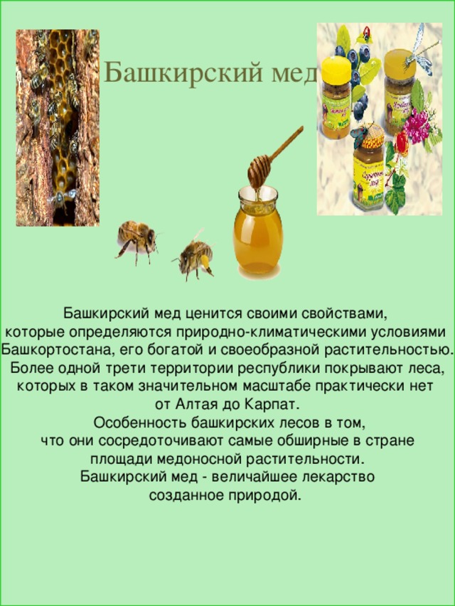 Башкирский мед ценится своими свойствами, которые определяются природно-климатическими условиями Башкортостана, его богатой и своеобразной растительностью.  Более одной трети территории республики покрывают леса, которых в таком значительном масштабе практически нет от Алтая до Карпат.  Особенность башкирских лесов в том,  что они сосредоточивают самые обширные в стране площади медоносной растительности.  Башкирский мед - величайшее лекарство созданное природой. Башкирский мед 